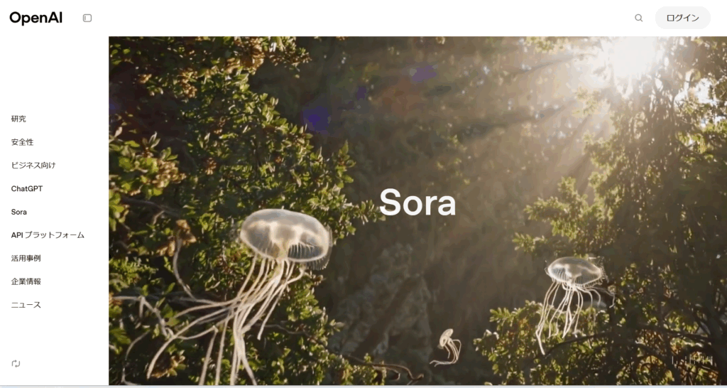 sora